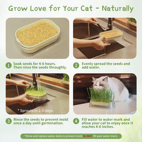 Majero sprouts appear in 2-3 days for quick cat grass