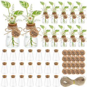 Majhulla propagation jar clear 3.35in shows water level for easy monitoring.
