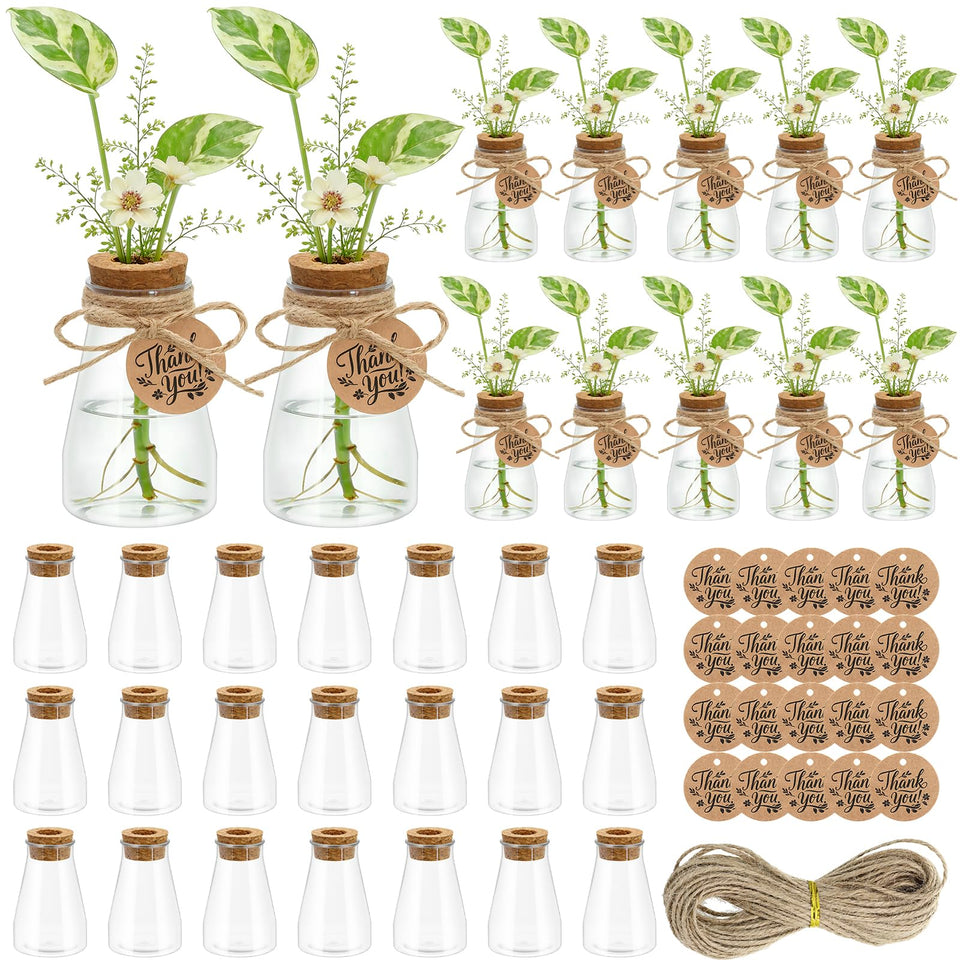 Majhulla propagation jar clear 3.35in shows water level for easy monitoring.