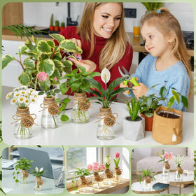 Majhulla durable plastic jars resist breakage while remaining crystal clear.