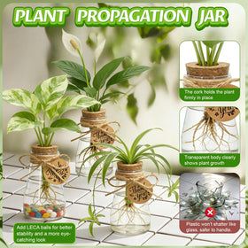 Majhulla propagation station hanging rope creates vertical display in any room.
