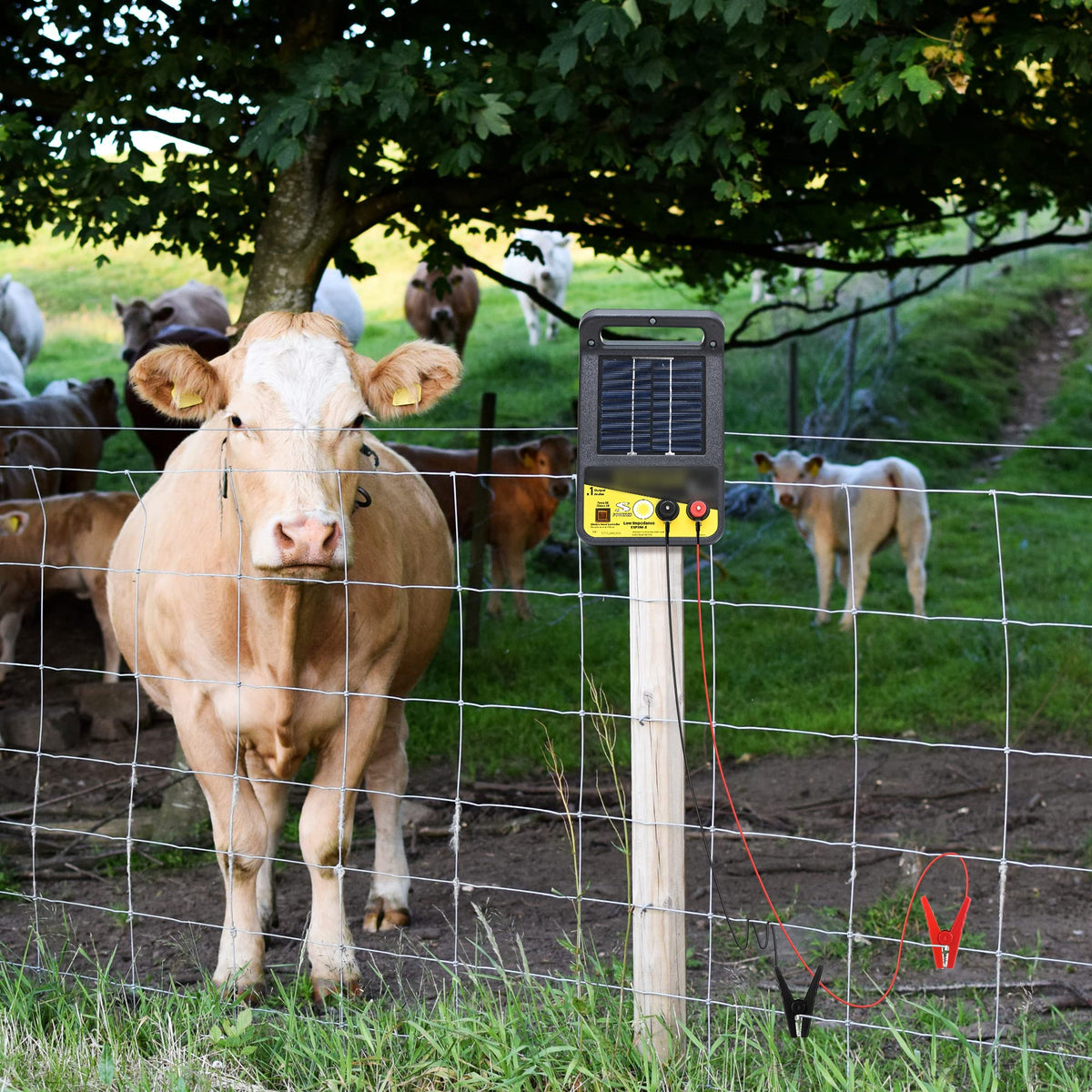 Makevivi solar fence charger kit illustrating solar-powered fencing efficiency.