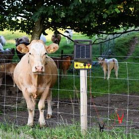 Makevivi solar fence charger kit illustrating solar-powered fencing efficiency.