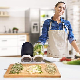 Malastar 32 oz wide-mouth jars offer easy access and harvest.