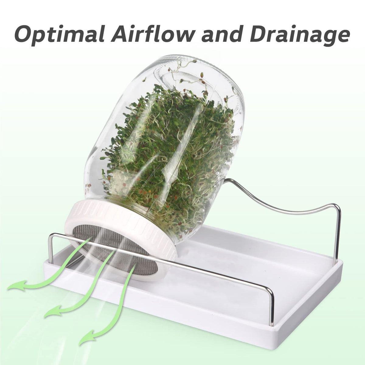 Malastar sturdy stand holds jars at the ideal angle for airflow.