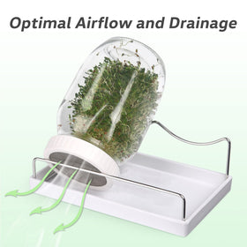 Malastar sturdy stand holds jars at the ideal angle for airflow.