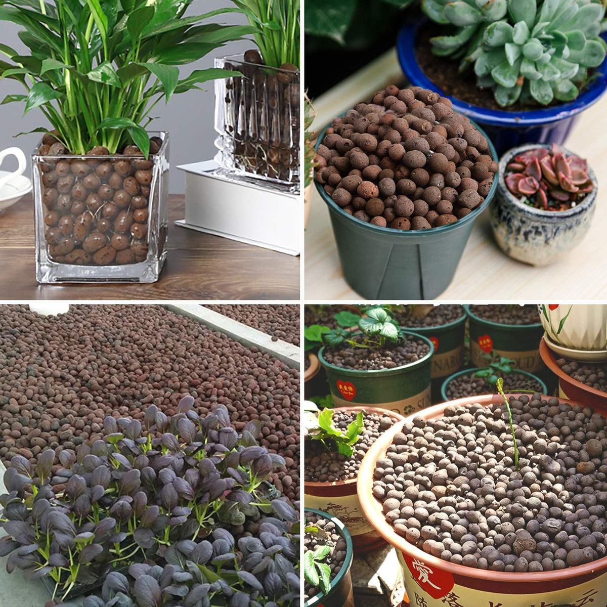Malifea 4LBS Leca pebbles retain water and nutrients for roots