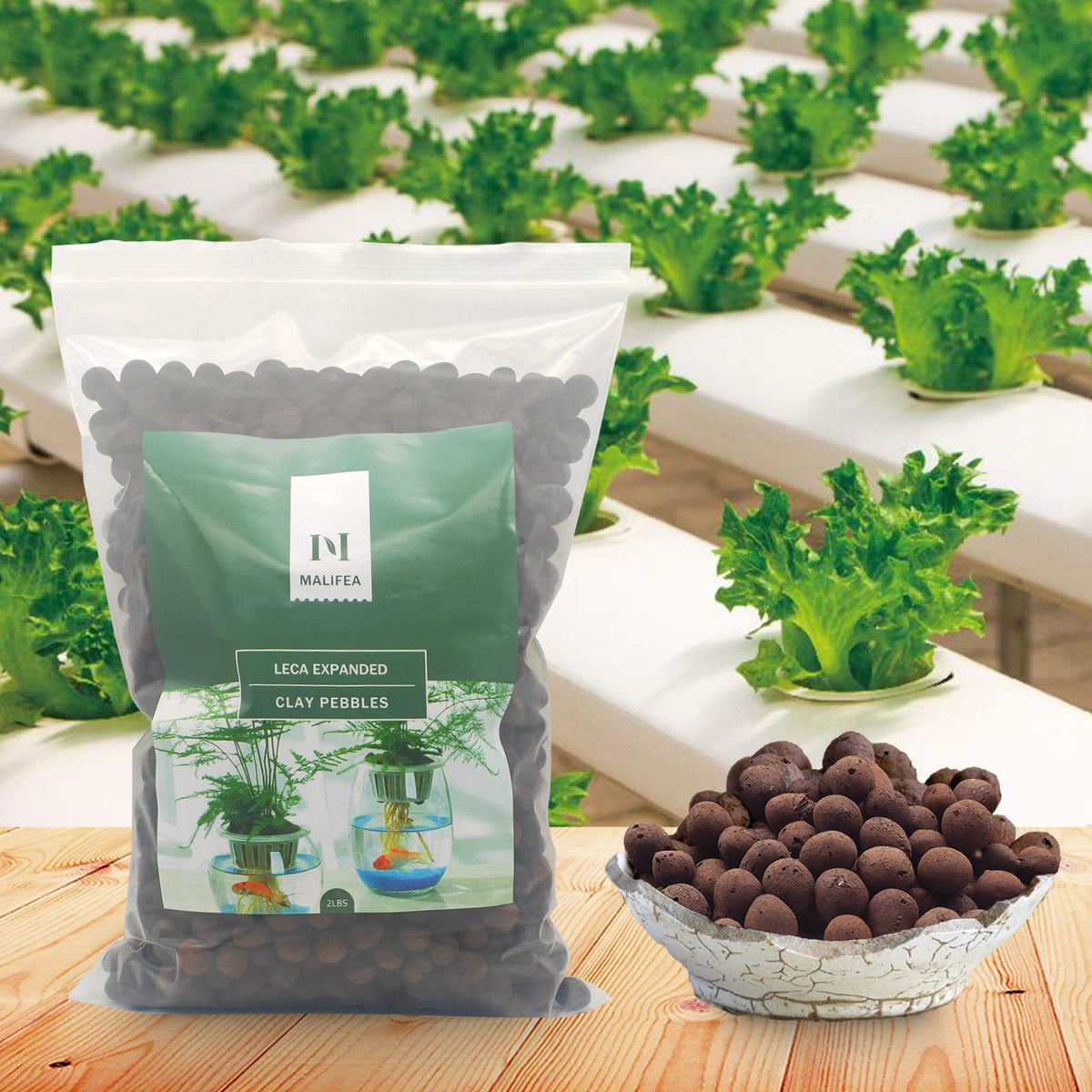 Malifea Leca pebbles in pot—enhanced drainage and healthy root space.