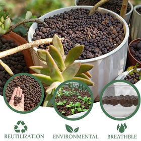 Malifea Leca in roof garden—dust-free, neat aesthetic for soilless cultivation.