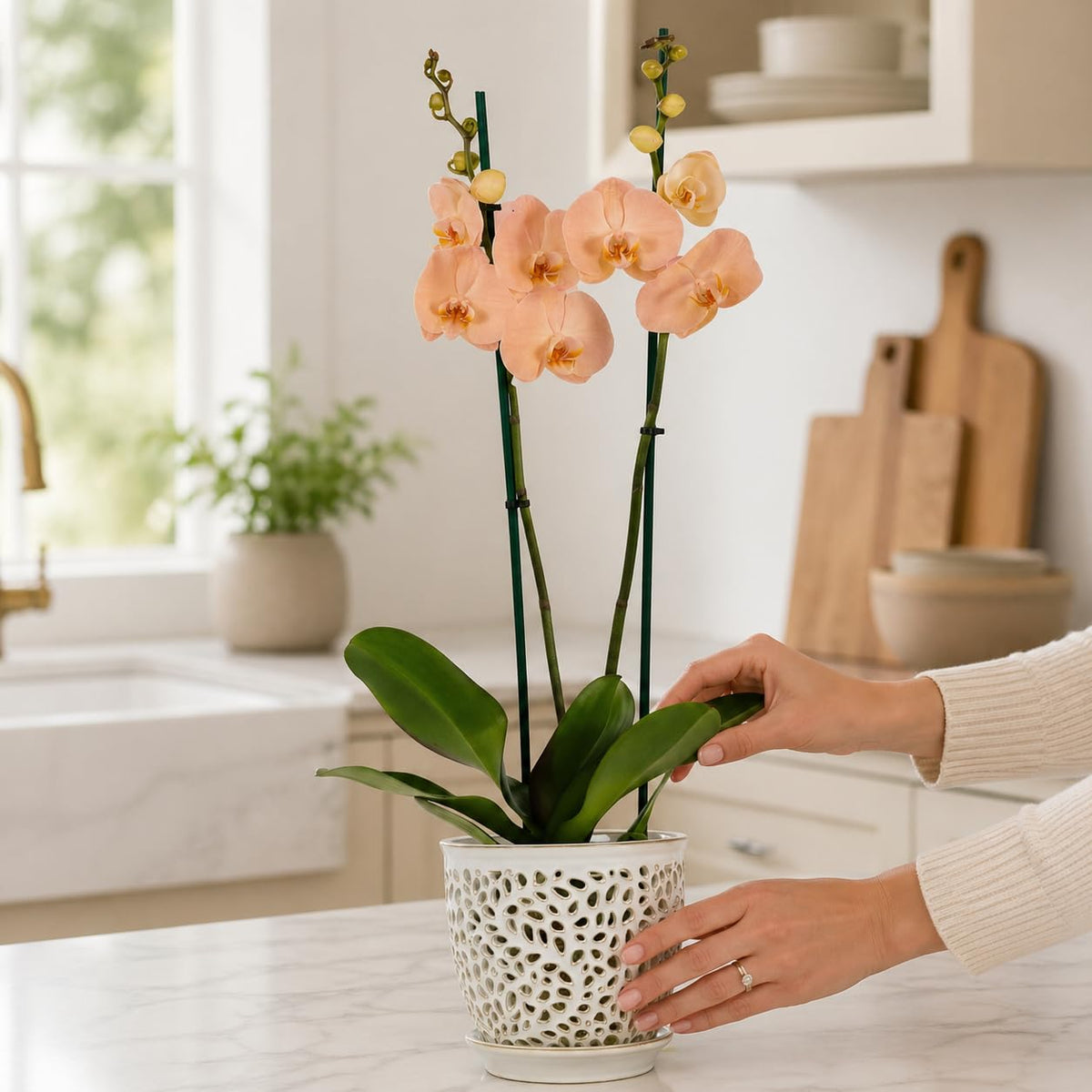 Mama Cozy Life easy-clean planter that wipes down quickly