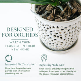 Mama Cozy Life lace-design ceramic pot adds elegance to any space