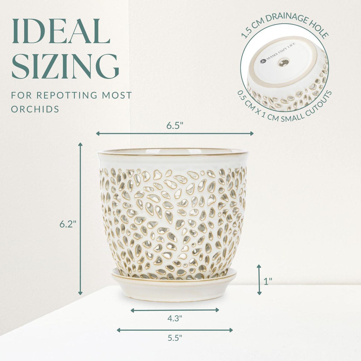 Mama Cozy Life removable saucer catches excess water and protects surfaces