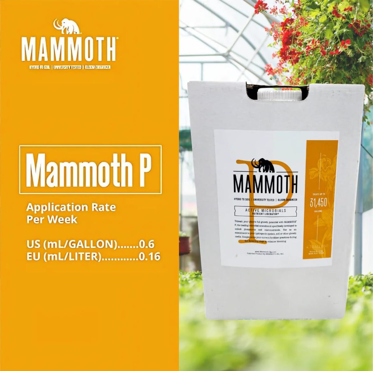 Mammoth Organic Bloom Booster label close-up highlights organic certification.