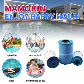Mamokin 2-pack spa filter for convenient replacements.