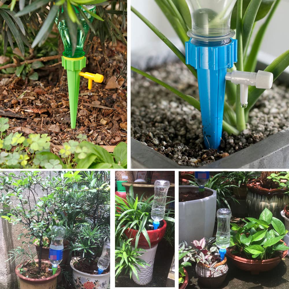 Mangoit self-watering spike office-plant setup keeps desk greenery hydrated