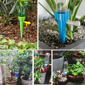 Mangoit self-watering spike office-plant setup keeps desk greenery hydrated