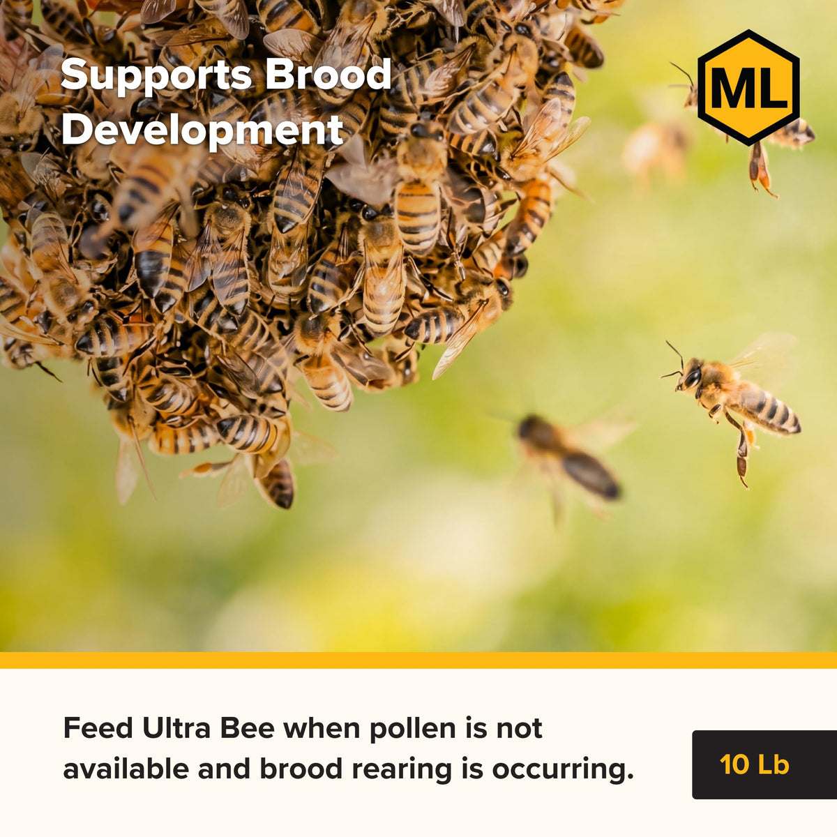 Mann Lake Bee-Pro Patties being fed to a hive for quick nutrition delivery