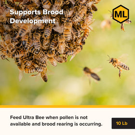 Mann Lake Bee-Pro Patties being fed to a hive for quick nutrition delivery
