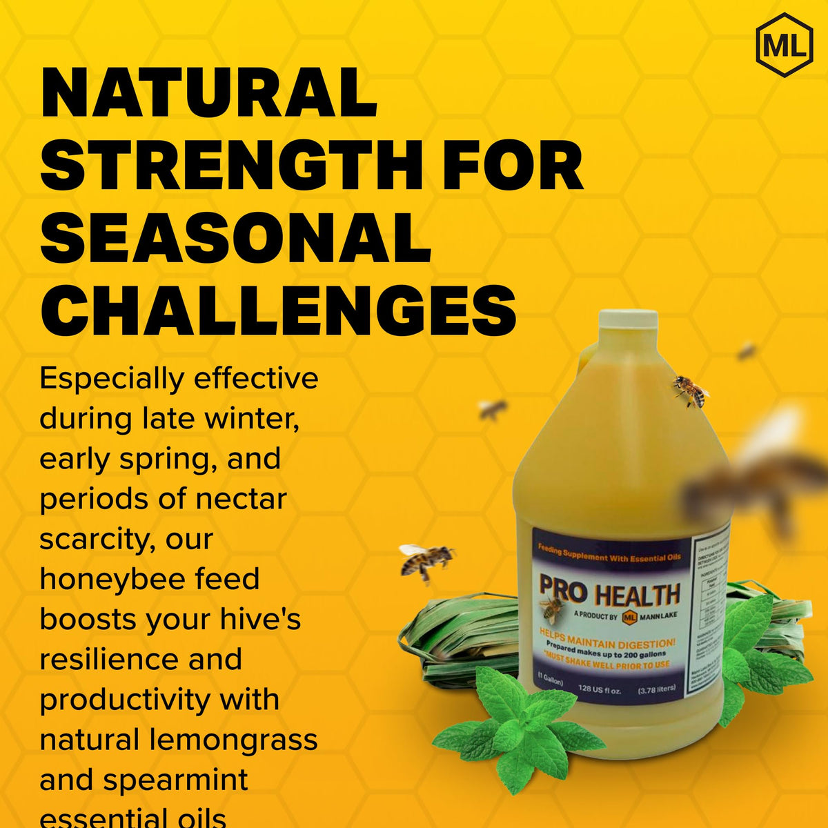 Jar label of Mann Lake Pro Health bee feeding supplement highlights antifungal formula.