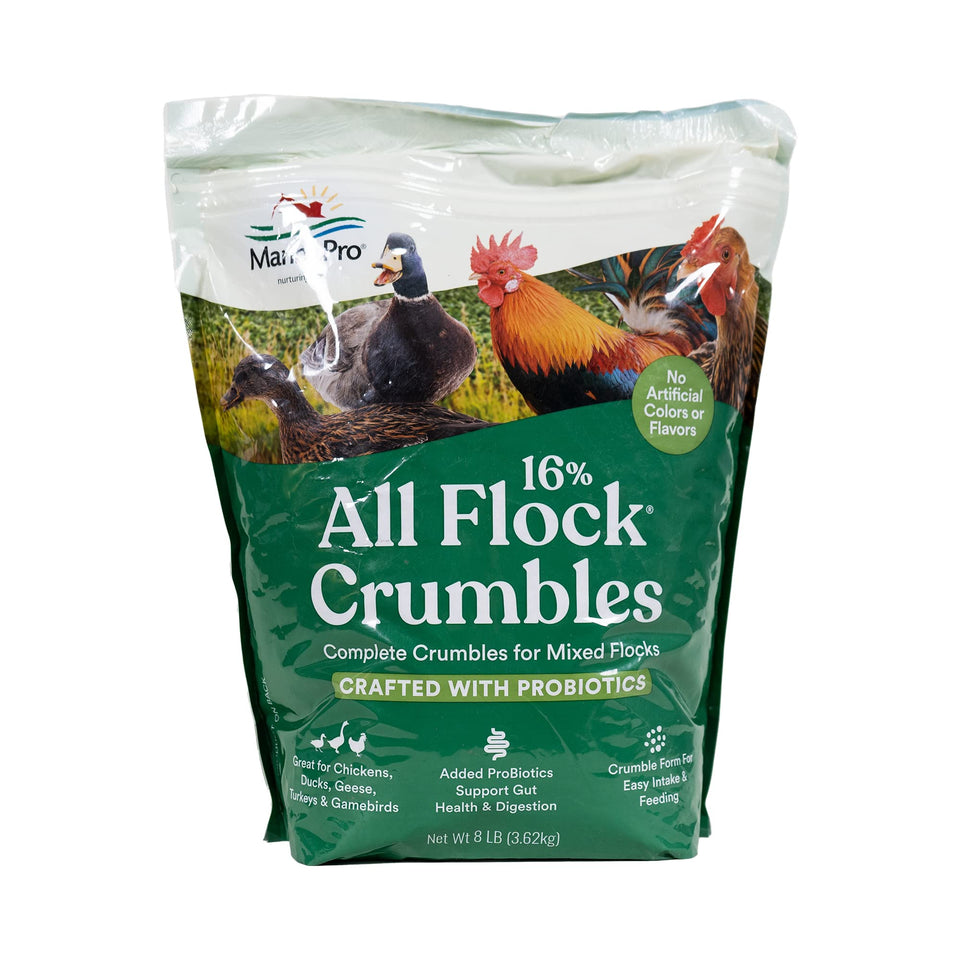 Manna Pro All Flock Crumbles bag front view for mixed-flock feeding.
