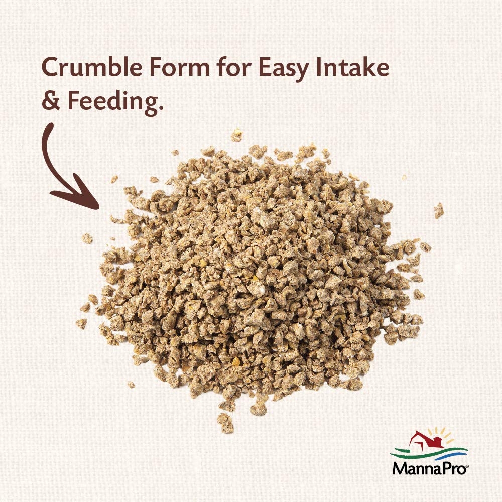 Close-up of crumble texture from Manna Pro All Flock Crumbles.