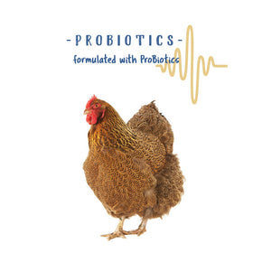Manna Pro backyard flock benefits from grit and probiotics.