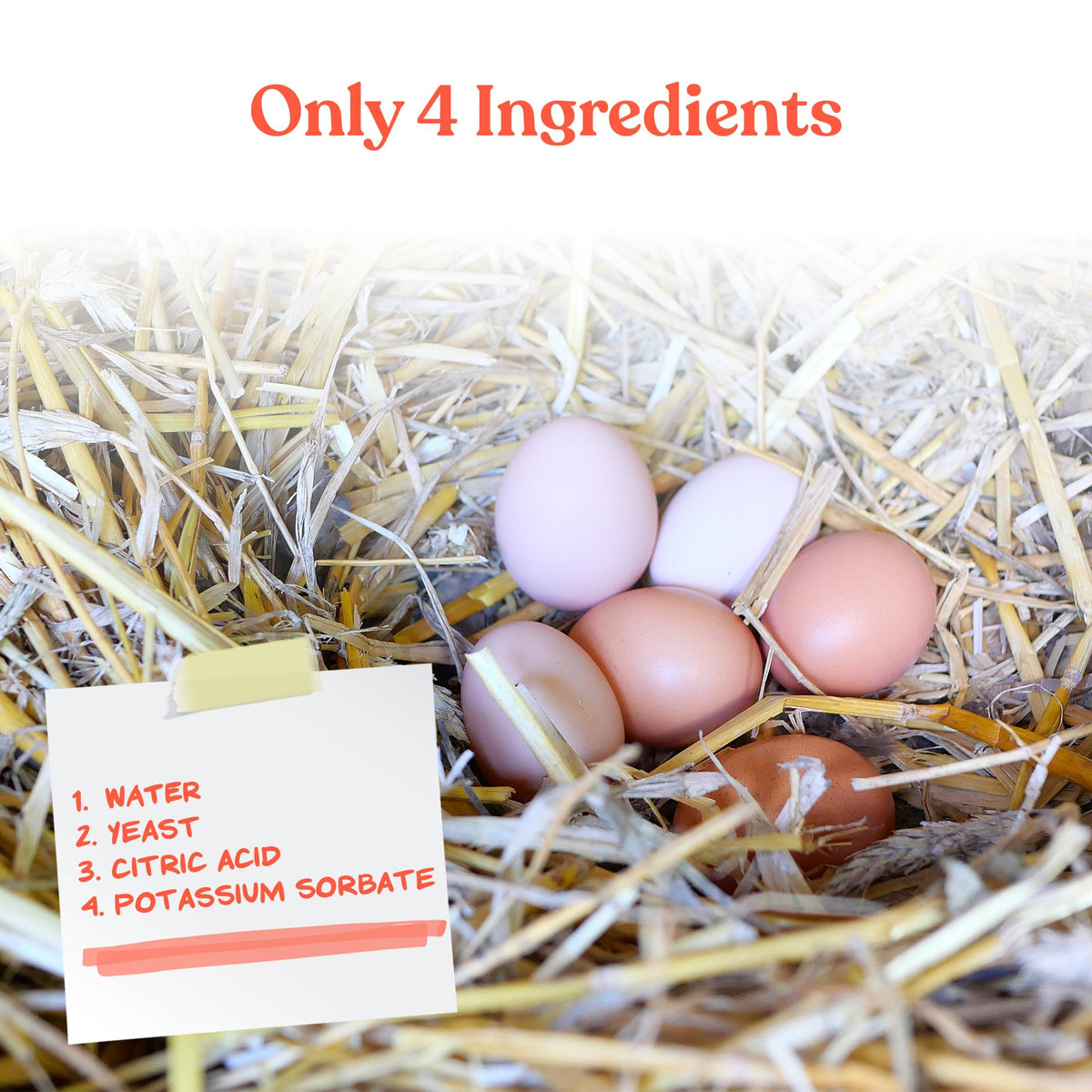 Backyard flock scenario with Manna Pro Egg Cleanser ready for use.