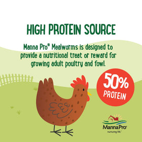 2lb bag image highlights convenient storage and steady feeding from Manna Pro.