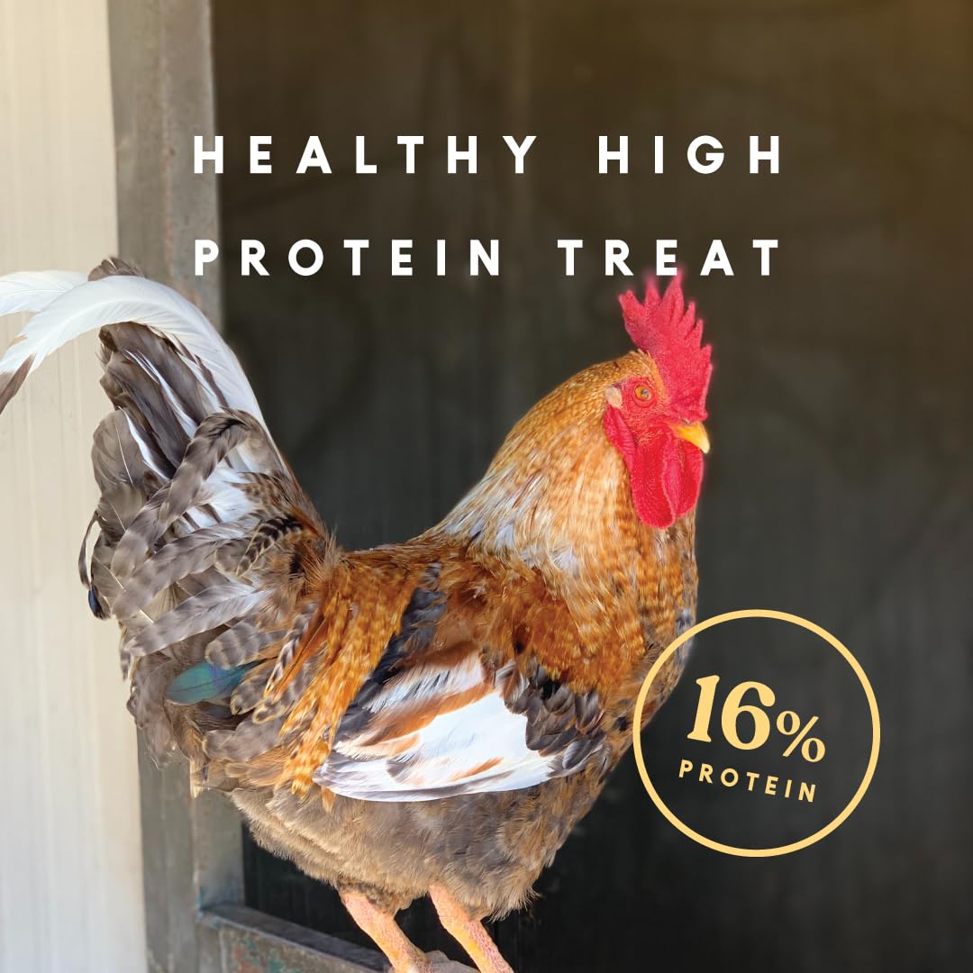 Chickens and turkeys at the feeder enjoy a crunchy, protein-rich snack.