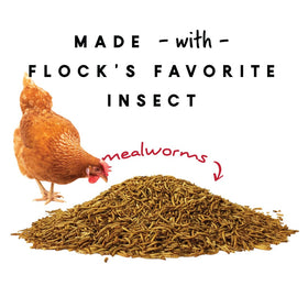 Close-up of mealworms and seeds shows protein-packed ingredients for poultry.