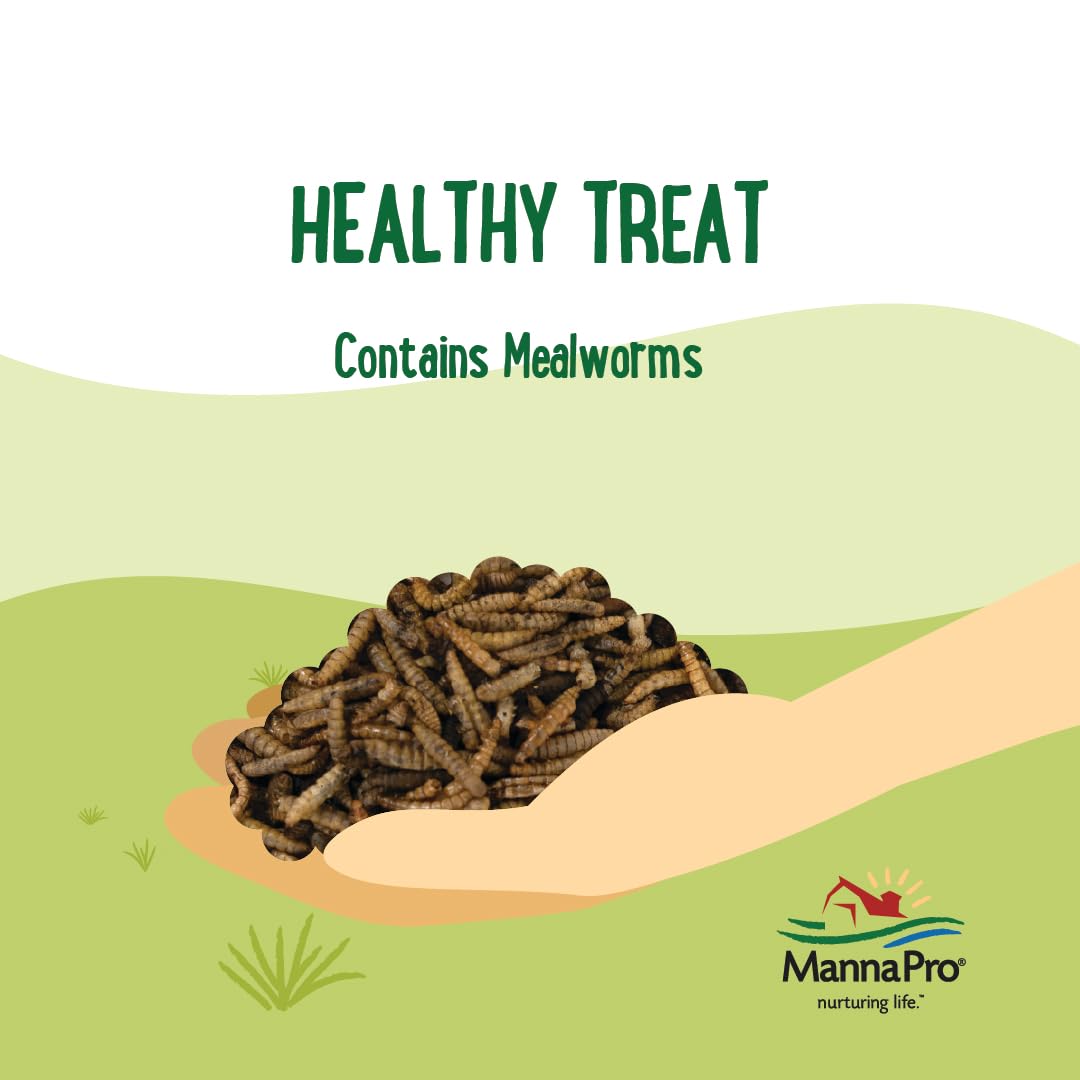 Mealworms enrichment highlight: a crunchy, natural snack promotes activity for poultry from Manna Pro.