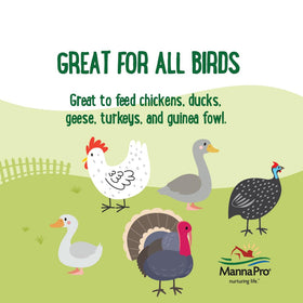 Mixed flock illustration demonstrates broad compatibility and daily foraging with Farmhouse Favorites Mealworms.