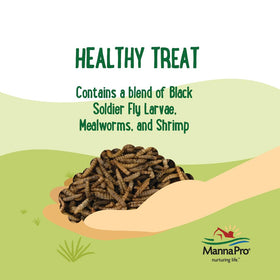 Manna Pro backyard birds enjoying a flavorful, natural protein snack.
