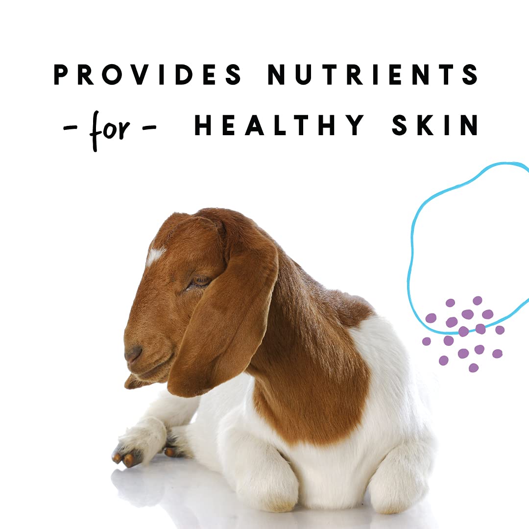 Manna Pro goat with healthy skin benefiting from balanced nutrients.