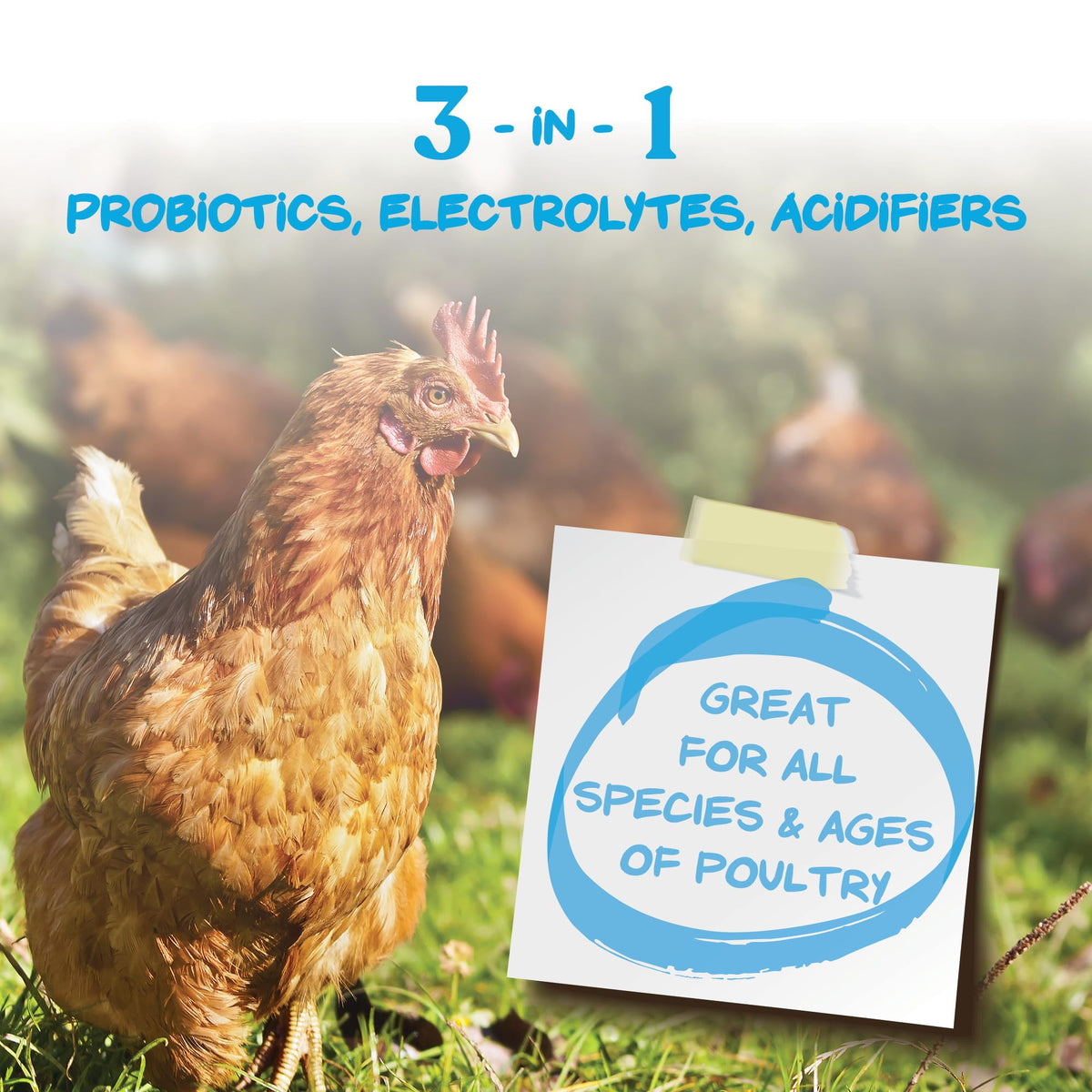 Manna Pro Hydro-Hen yields 22 one gallon servings for small flocks