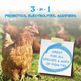 Manna Pro Hydro-Hen yields 22 one gallon servings for small flocks