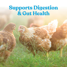 Manna Pro Hydro-Hen suitable for all poultry species and ages