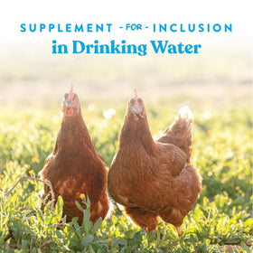 Manna Pro Hydro-Hen blends probiotics electrolytes and acidifiers for gut friendly hydration