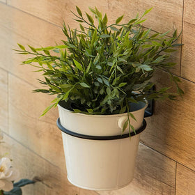 Maosen outdoor wall display features plant ring in garden setting.