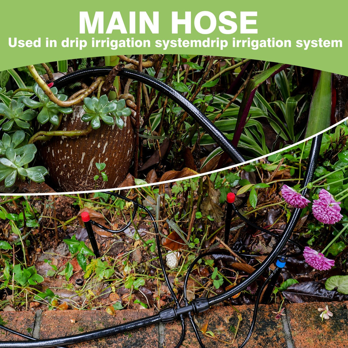 Maotong irrigation system installation demonstration for simple setup.