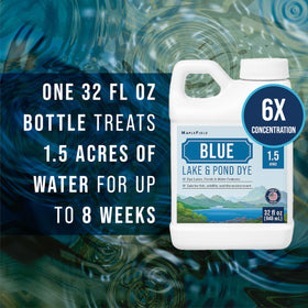 Maplefield 6x blue lake dye bottle highlights simple, no-mix application for clear blue water.