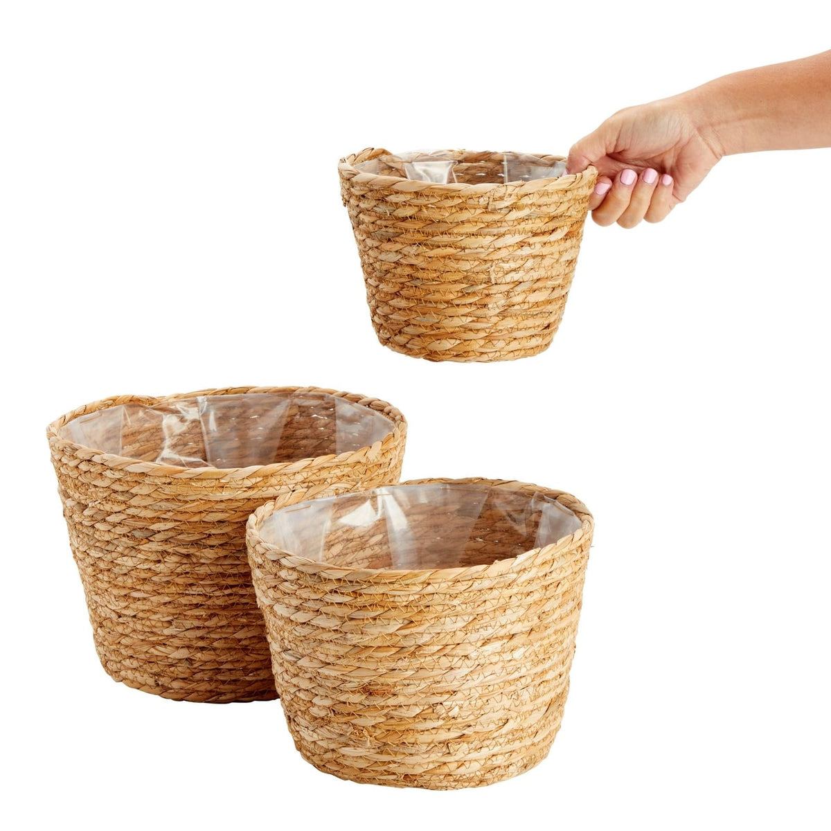 Maplefield seagrass planter display for real or artificial plants