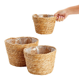 Maplefield seagrass planter display for real or artificial plants