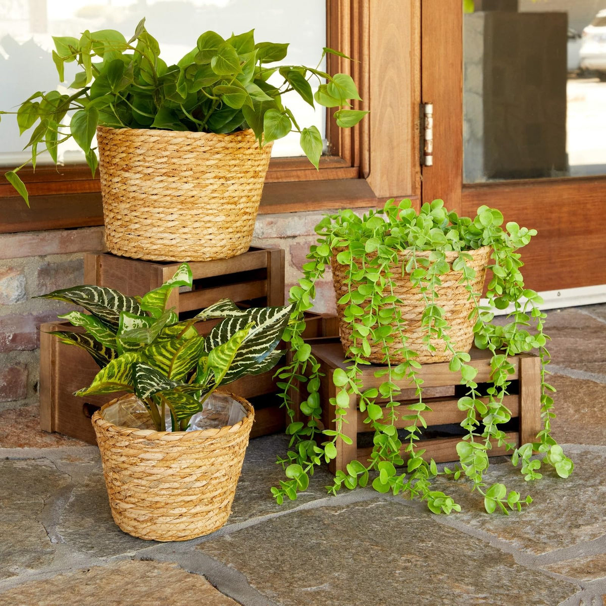 Maplefield seagrass planter set three sizes for flexible plant layouts