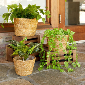 Maplefield seagrass planter set three sizes for flexible plant layouts