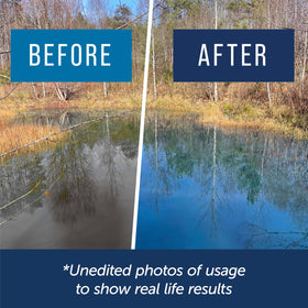Maplefield vibrant azure water appearance enhances landscape features with minimal maintenance.