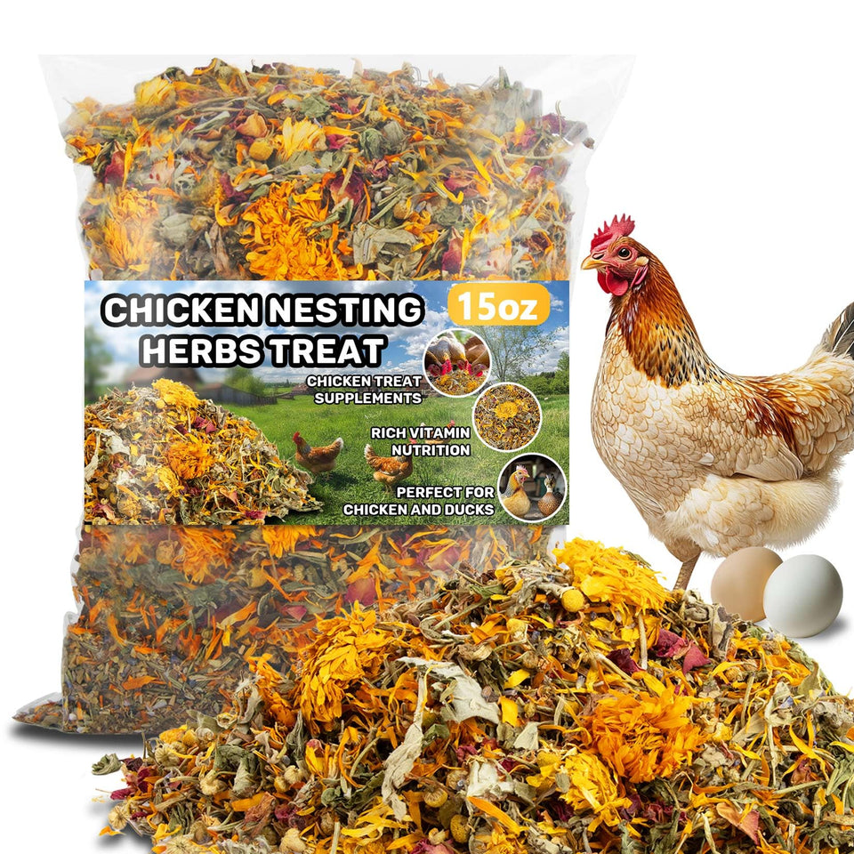MaQIHAN 15oz chicken nesting herbs package in coop for daily supplementation.