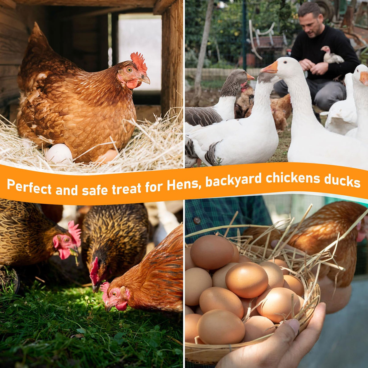 MAQIHAN 30oz herbs in feeders provide enrichment and a gentle aroma.
