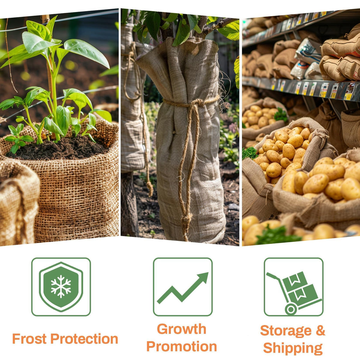 MAQIHAN burlap sack breathable material supports plants and reduces plastic use.