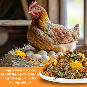 MAQIHAN chicken coop herbs blend ready for nest box enrichment